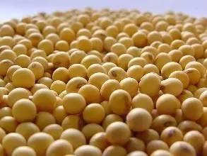 無證莫售 初級(jí)食用農(nóng)產(chǎn)品上市銷售必須持有相關(guān)證明